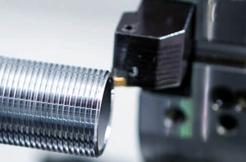 ��̩ǳ̸���������Ż���������ػ�����������!